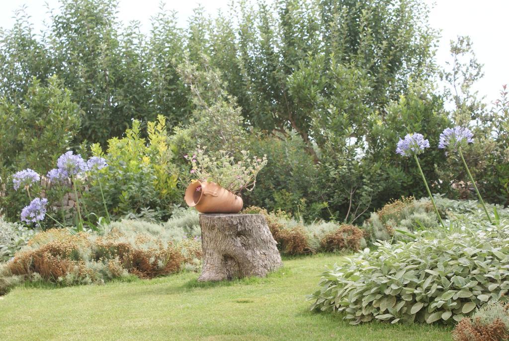 Il Granello Di Senape In Valle D'Itria Guest House Locorotondo Eksteriør bilde